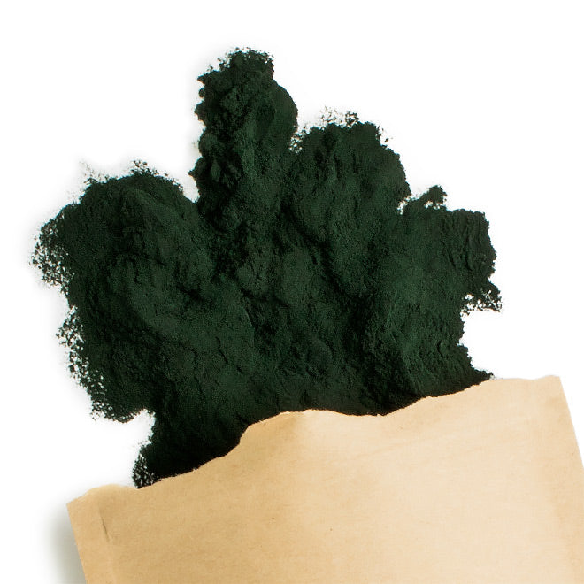 Terra Elements Pluhur Bio Spirulina 125g