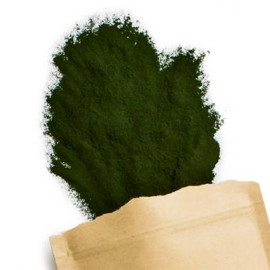 Terra Elements Pluhur Bio Chlorella 100g