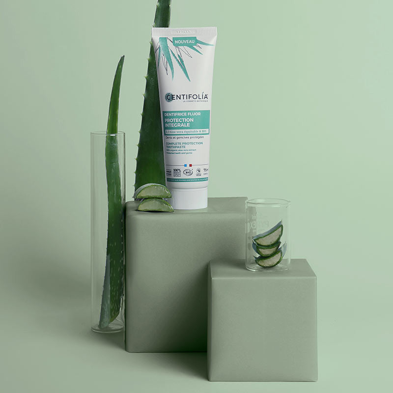 Centifolia Pastë Dhëmbësh me Fluor për Mbrojtje të Plotë 75ml